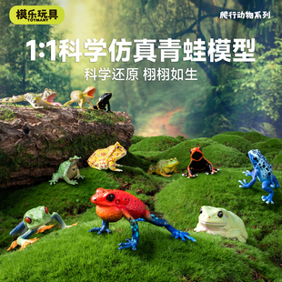 模乐玩具TOYMANY仿真动物模型玩具青蛙套装 儿童认知启蒙早教