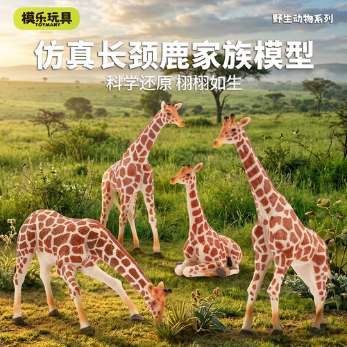 TOYMANY正品长颈鹿套装模型