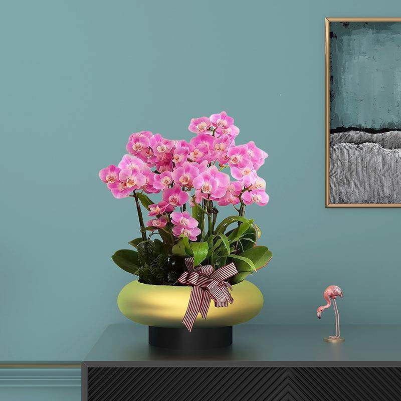 40cm口径纳米金蝴蝶兰铁艺花盆花器金属银柳盆器仿真花新中式摆件