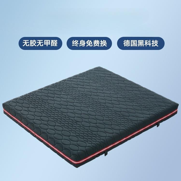 德国全3d床垫4D5d纤维丝可水拆洗透气偏硬护腰脊席梦思薄加厚定