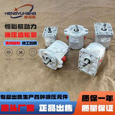 高泰克液压泵Galtech齿轮泵2SP-A-110-D-SAEA-B-N-13-0-G液压油泵