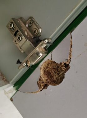 黑色孔 修补填充 泥可 柜门铰链承重螺丝合页脱落 动度高胶松强