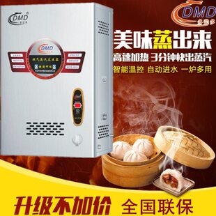 节能 燃气蒸汽发生器多BQ蒸包炉蒸汽机Z50多美商用壁挂式 R挂墙式