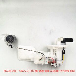 飞A250天150滤网/哈巧格I 12 /泵马剑巡鹰福喜S致雅王5汽油 赛鹰