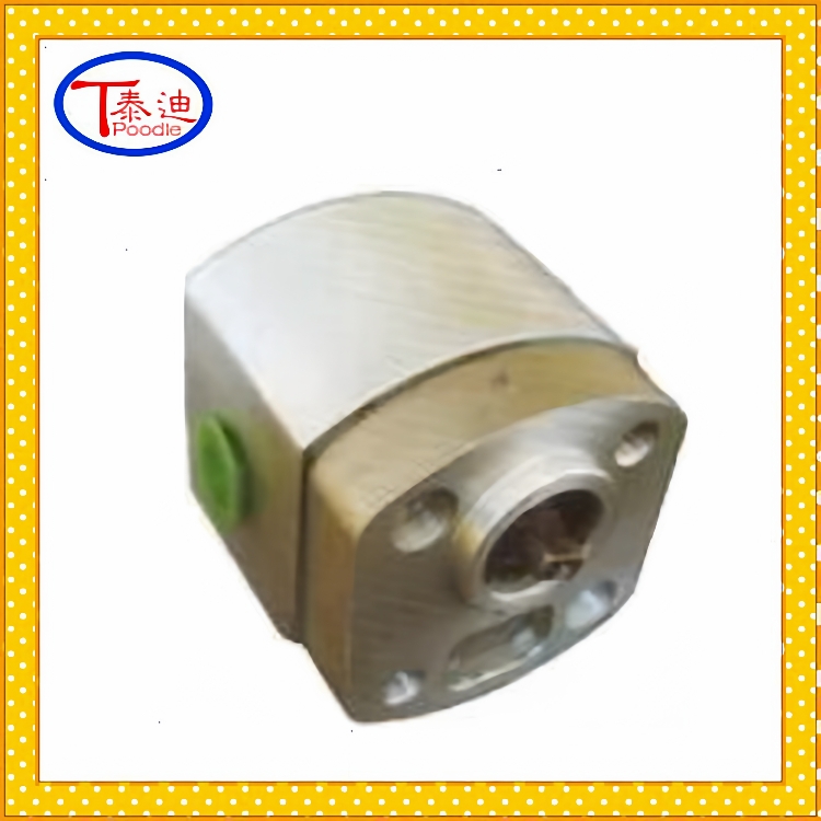 CBH-E210双向齿轮泵微型齿轮泵小排量齿轮泵