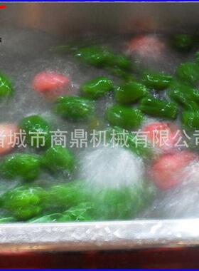 高气泡洗 蔬菜水果清洗流ASZ水线 清多功机能清压洗机