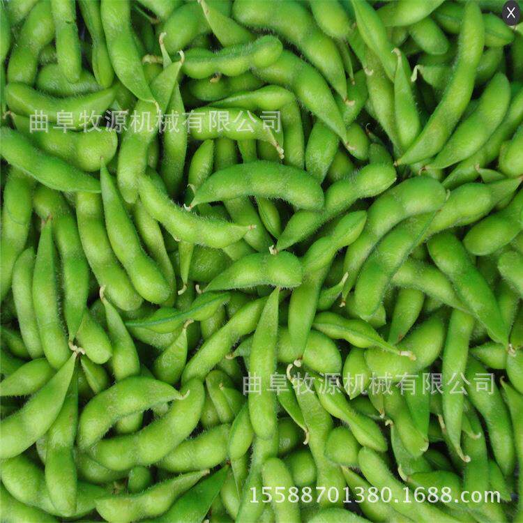 豌全动自毛豆剥壳去皮机器剥毛豆米机 豆YOD脱壳采摘机厂家