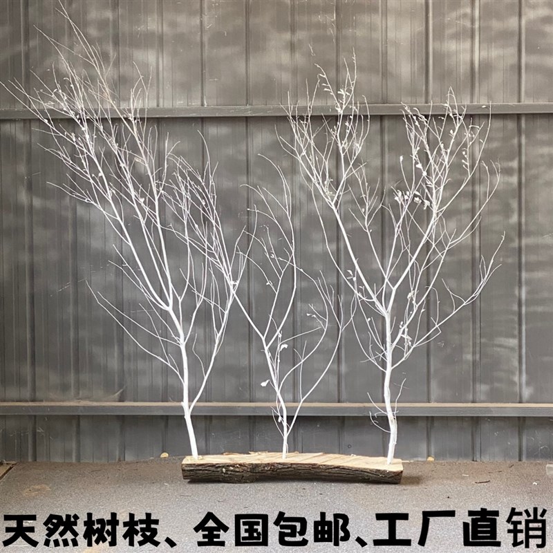 干树枝干枝干树枯树装饰树摆件树杆仿真树枝假白色树枝道具装饰树