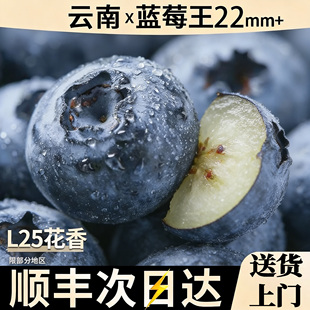 时令水果果园农场蓝梅 云南花香有机蓝莓鲜果L25新鲜特大纯甜当季