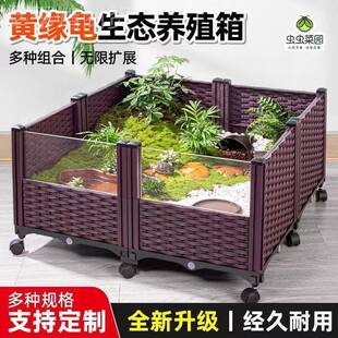 黄缘龟饲养安缘台箱缘闭壳苗龟ZXD境造景植物生态环乌龟专用缸养
