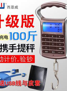 充电手提秤充电计价秤精准电子秤快递称迷弥弹簧钩称家用买卖菜秤
