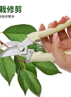 不锈钢园林修枝剪园艺剪果枝剪花枝剪花园剪刀摘果剪户外盆景工具