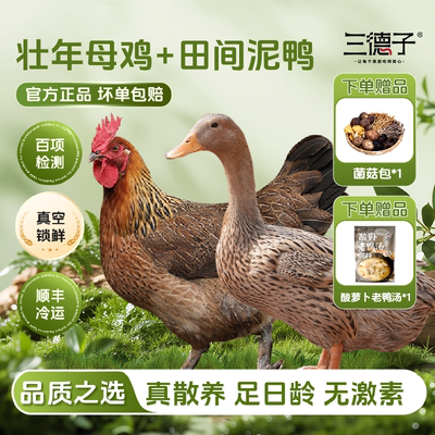 母鸡350天以上，鸭子500天以上！