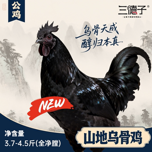 三德子生态山地乌骨鸡 散养活鸡宰杀新鲜宰杀公鸡乌鸡