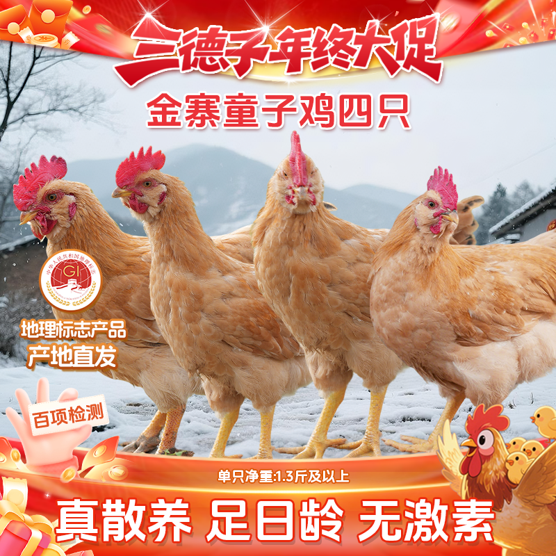 三德子 大别山金寨童子鸡4只 农家散养土鸡仔公鸡新鲜宰杀鸡肉