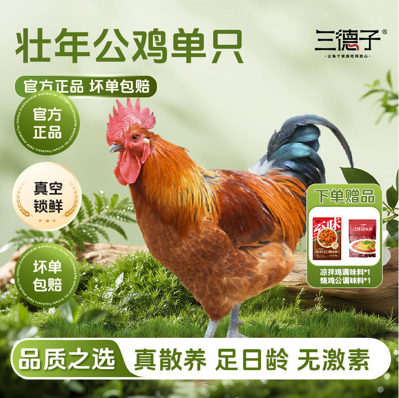 三德子生鲜 单只壮年大公鸡4.5-5.5斤农家粮食散养生鲜整只鸡肉