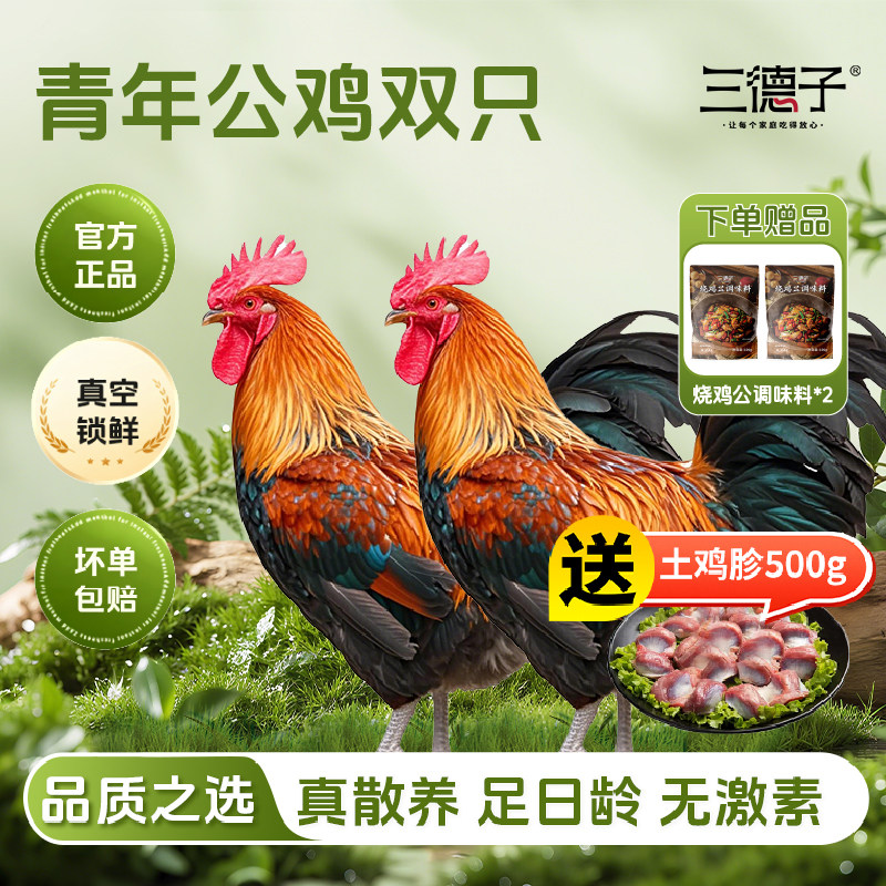 三德子 青年大公鸡双只土鸡农家粮食散养生鲜整只鸡肉送辣卤零食图片