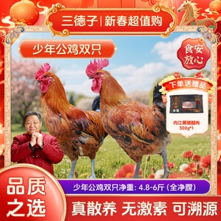 三德子少年公鸡散养120天生态散养土鸡新鲜宰杀【送黑猪腿肉】