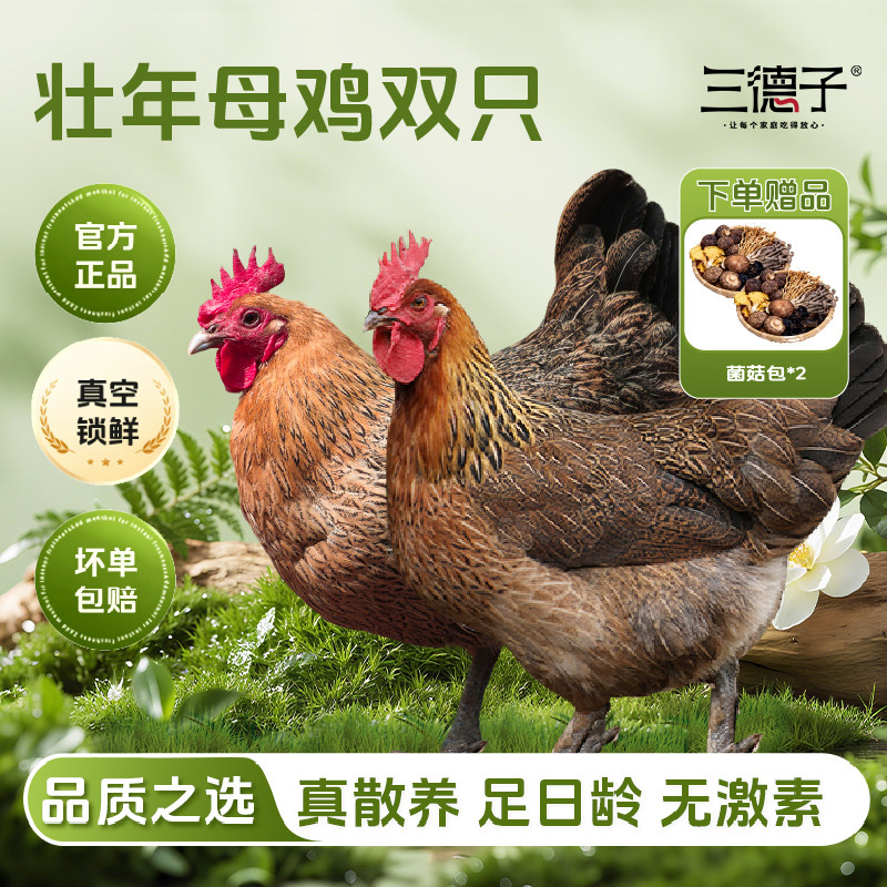 三德子老母鸡【双只】 散养土鸡走地鸡慢养350天月子鸡汤图片