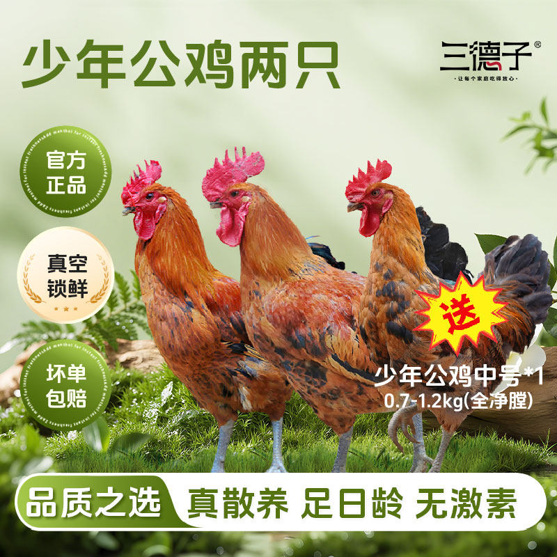 三德子雪山草鸡土鸡农家粮食散养走地鸡小公鸡生鲜整只鸡肉组合