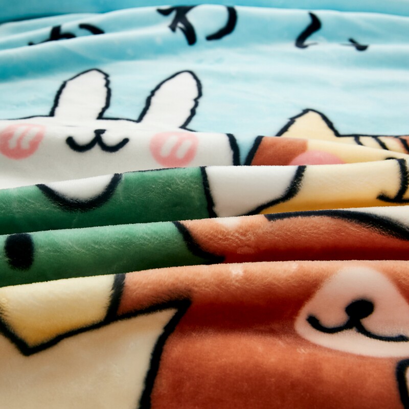 儿童毛毯幼儿园宝宝婴儿云毯双层加厚保暖盖毯被子冬季午睡小毯子