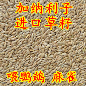 包邮 鹦鹉鸟食饲料 金丝雀芙蓉鹦鹉黄雀鸟粮 白尖粟 5斤 加纳利子