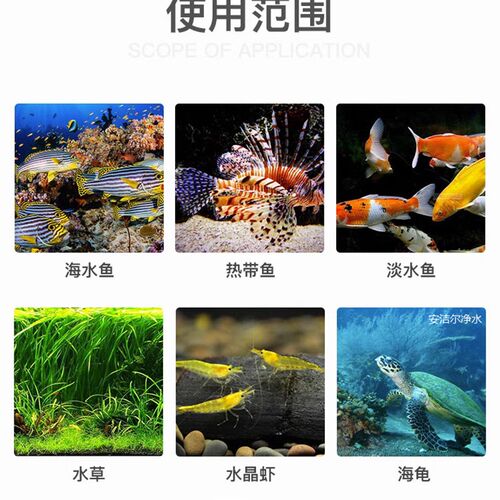 海缸水族纯水机珊瑚海水鱼专用净水器无泵RO机降TDS硬度净水机