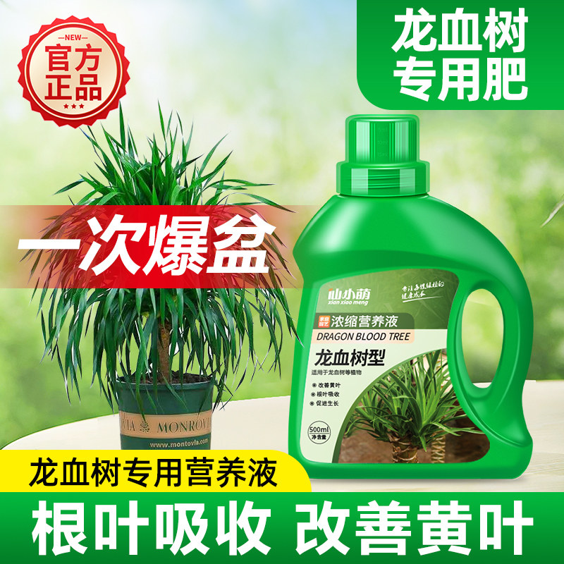 龙血树专用营养液肥料花肥水溶性花卉绿植用家庭花卉植物园艺浓缩,鲜花速递/花卉仿真/绿植园艺,家庭园艺肥料,淘宝优惠券,粉丝福利购,淘宝优惠卷