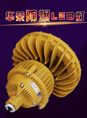 煤矿LED防爆灯 加油站气站防爆投光灯30W50W80W100瓦 泛光灯华荣