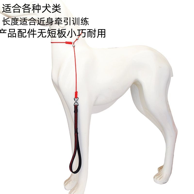 全能牵引专业训犬牵引绳定点训练牵绳带防打结狗链中小型犬适用