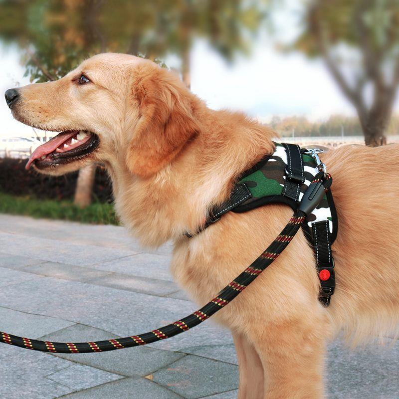 狗狗胸背带牵引绳萨摩耶遛