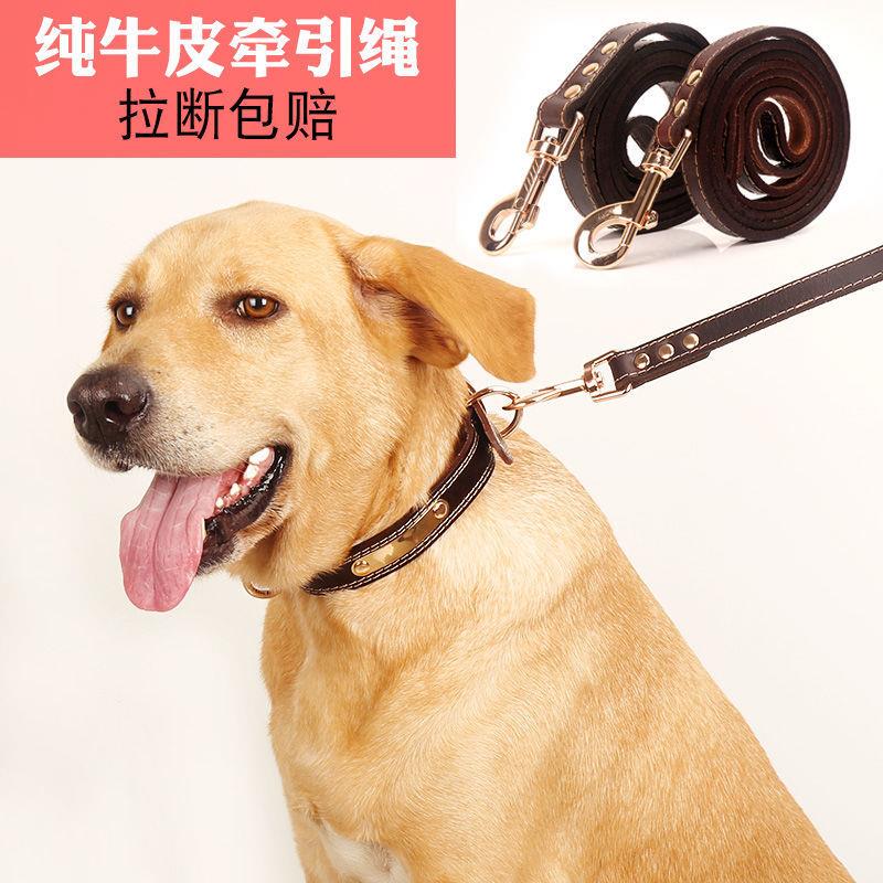 狗狗牵引绳头层牛皮项圈成