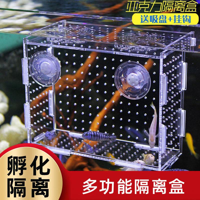 鱼缸隔离盒亚克力孔雀鱼繁