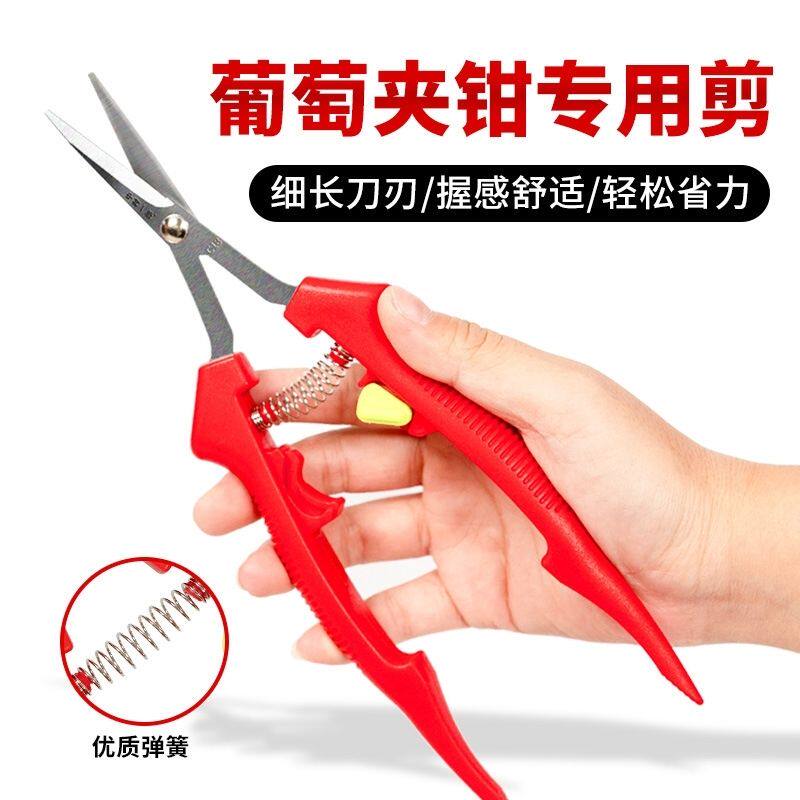 跨境葡萄采摘剪子摘花椒剪子冬枣剪水果采摘钳稀果剪修芽剪子