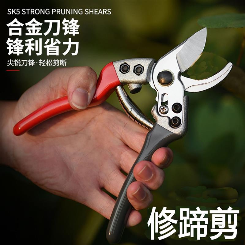 修羊蹄子剪刀修猪蹄钳子兽
