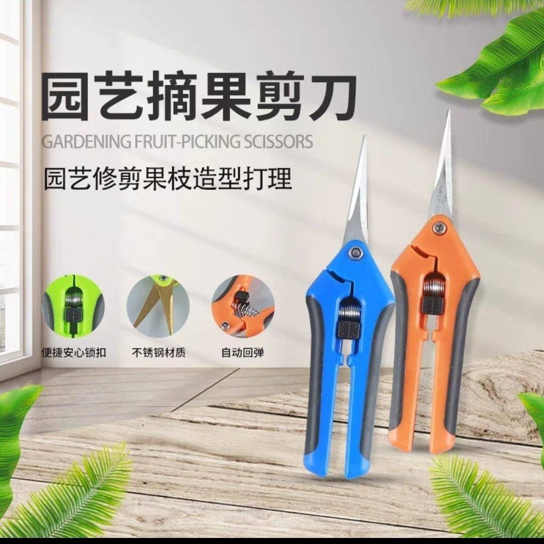 强力3CR13不锈钢直头园艺修剪刀高效蔬果园林修花剪