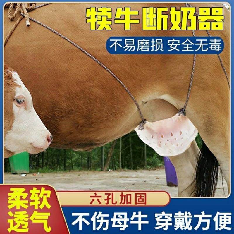 牛犊断奶器牛奶罩小牛忌奶