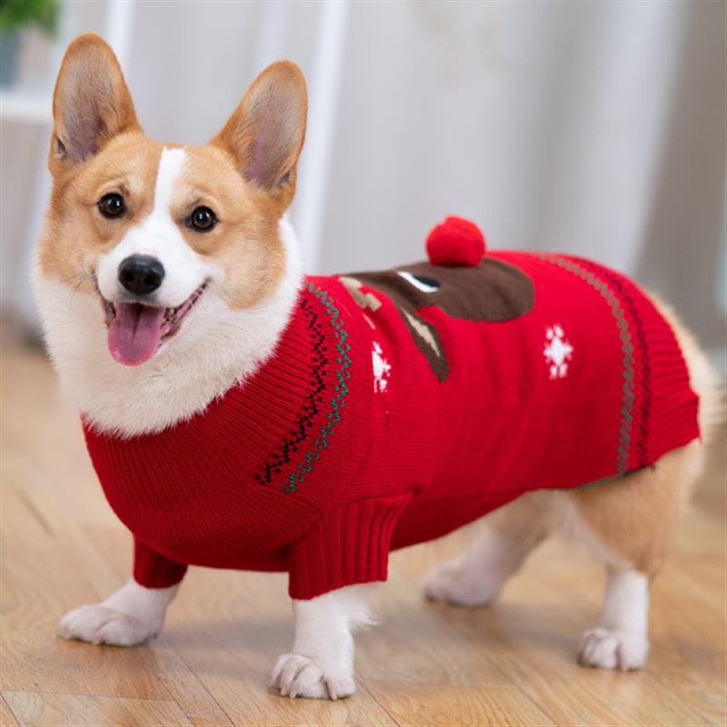 狗狗衣服秋冬柯基春秋装中