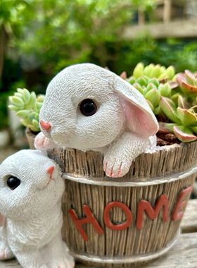 可爱双兔盆 兔子多肉盆 户外阳台露台庭院别墅花园装饰桌面绿植