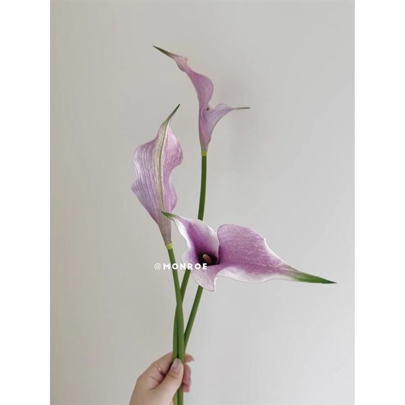 仿真花马蹄莲假花海芋手感