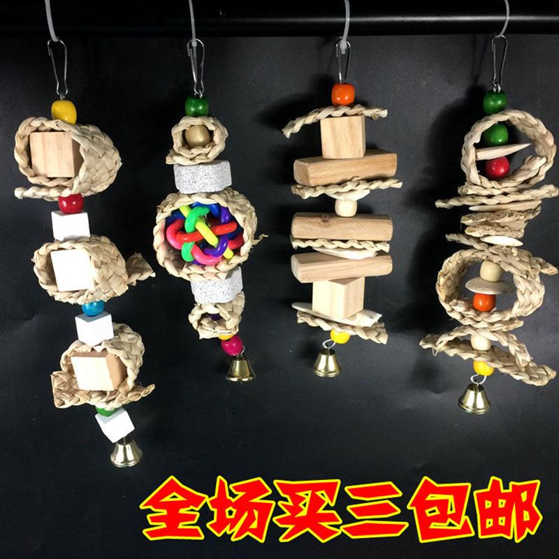 鹦鹉啃咬玩具墨鱼骨玉米叶