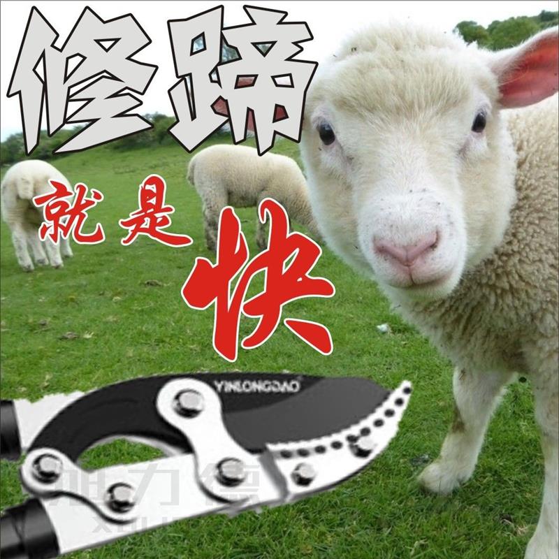 牛羊修蹄钳猪用修蹄剪刀兽