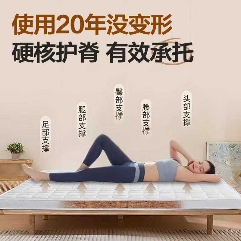 定制床垫特厚硬床垫老人护