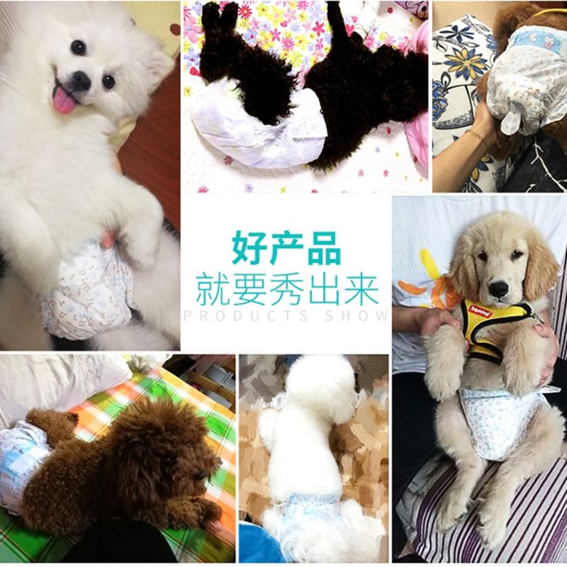 狗狗尿垫宠物用品尿片猫尿布泰迪尿不湿吸水垫加厚生理安全裤内裤