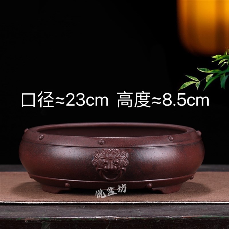 宜兴精品紫砂花盆浅圆古钉盆多肉金弹子菖蒲云竹盆栽盆桌面古典盆