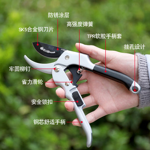 果树修枝剪树枝专用花艺花卉枝剪子剪枝园林工具花剪修剪园艺剪刀