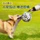 狗狗球边牧玩具金毛拉布拉多柯基训狗专用球宠物球狗玩具宠物用品