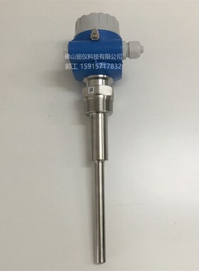E+H音叉料位开关FTM20-AG45A恩德斯豪斯FTM20-AA22A FTM20-AA45A
