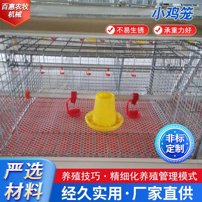 源头厂家育雏鸡笼防锈镀锌养殖设备立式小鸡笼鸡舍养鸡笼