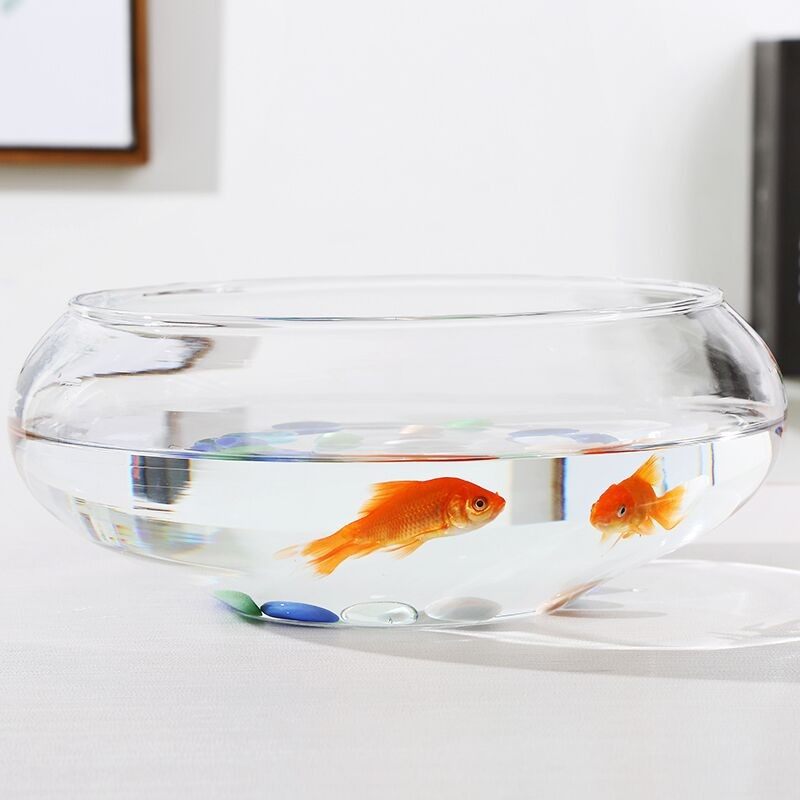 玻璃花盆 碗莲 睡莲 铜钱草 荷花水培植物花瓶 鱼缸 大口径花瓶,鲜花速递/花卉仿真/绿植园艺,花瓶,淘宝优惠券,粉丝福利购,淘宝优惠卷